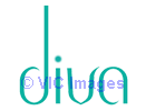 Divabrowbar - Eyebrow Threading in Burnaby & coquitlam