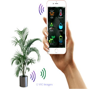 Develop an IoT based PoC for Smart Farming