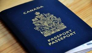 Quality Best High novelty Passports,ID,Drivers License