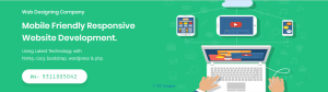 Web designing company in Delhi | Website design company in West Delhi
