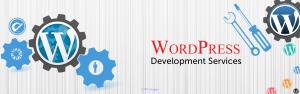 WordPress Website Design Company in Delhi