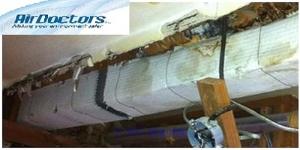 Deal with Renowned Asbestos Removal Company in Toronto