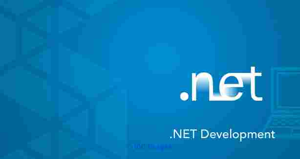 Remote Dot Net Developer as per Hourly Rate