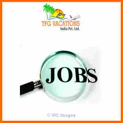 6000 Male/Female Job Vacancy