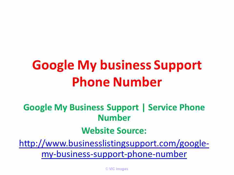 Verify Business with Google My Business Support