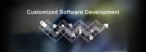 Hire Custom Software Developer From a Custom Software Development Comp