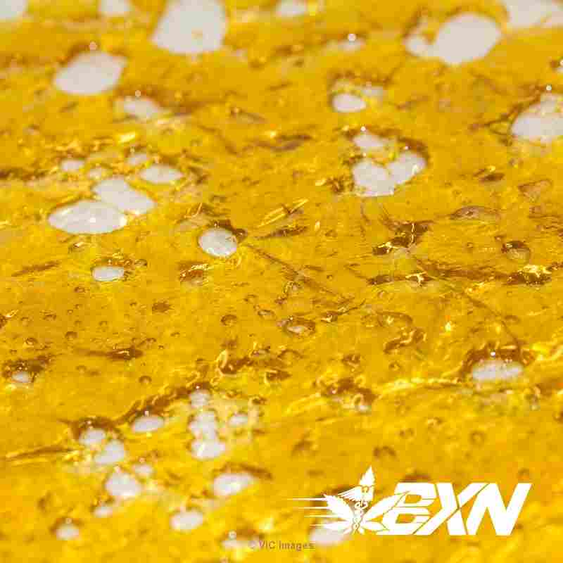 Quantum Extracts Shatter - Strawberry Cough (Sativa) - BudExpressNOW.