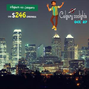 One way Cheap Air Tickets|Ottawa-Calgary | from CAD $246 Onwards