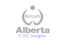 Eyelash Extensions Services in Calgary