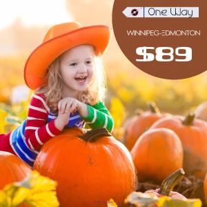 One way cheap flight tickets | Winnipeg-Edmonton | CAD $89 Onwards