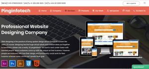 Hires Ecommerce Website Designers India
