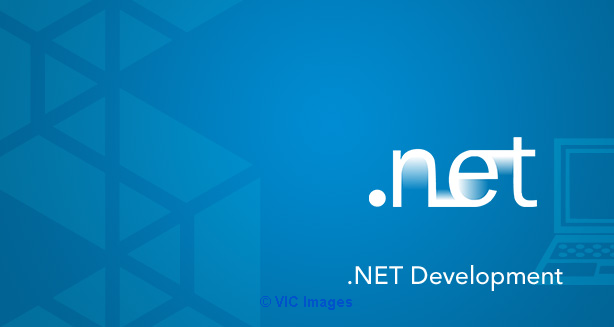Remote Dot Net Developer as per Hourly Rate