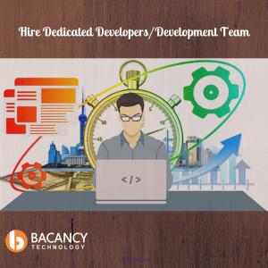 Hire dedicated development team/dedicated developers hourly rate basis.