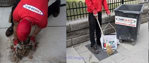 Waste Removal Professionals in Toronto at Your Service