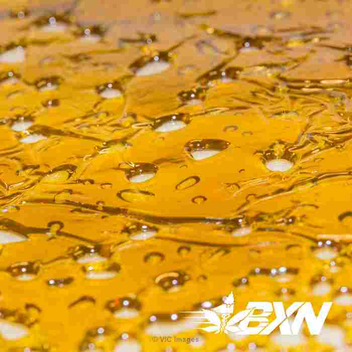 Quantum Extracts Shatter  Super Silver Haze - BudExpressNow.ca
