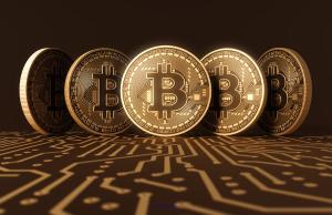 start making profit with binary option trading and bitcoin investment