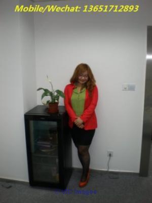 Shanghai Chinese Interpreter Translator-Tour Guide-Personal Assistant!