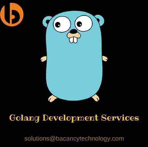 Golang Development Company | Hire Golang Developer