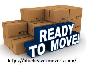 To Hire the Safest Hands of Professional Packers and Movers Berg