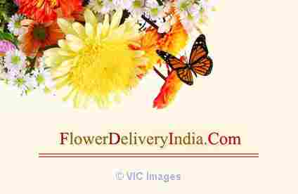 Deliver your heartfelt wishes by surrendering love in the form of gift