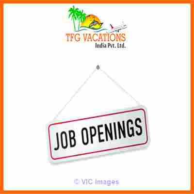Immediate Requirement For Online Promotion Work