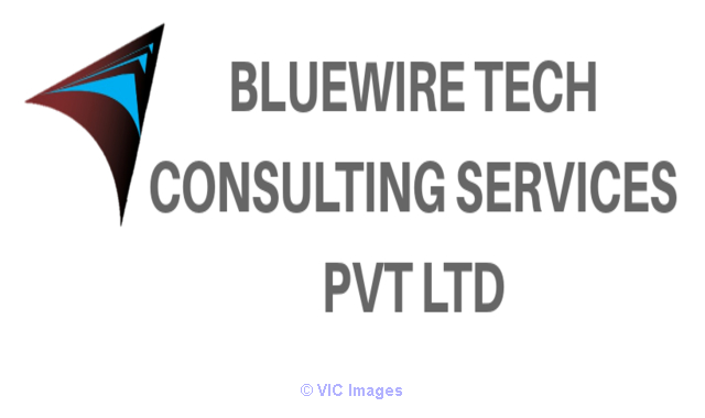 Bluewire Tech Human Resource service
