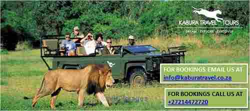 Unique Destination for Cape Town Tours and luxury safari tour in South