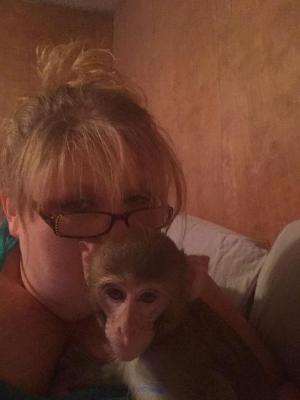 FRIENDLY BABY MONKEY FOR ADOPTION