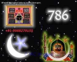 A to Z All Problem solution specialist world bast asatrologer+91-99882