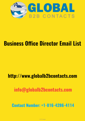 Business Consultants Email List Providers