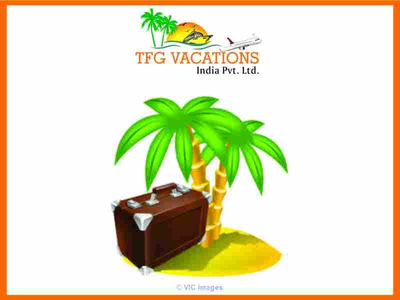 Great opportunity To Promote Tourism Part Time Online