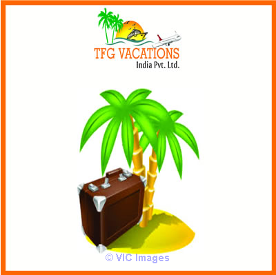Part/Full Time/Home Based Internet Work on Tour & Travel Company