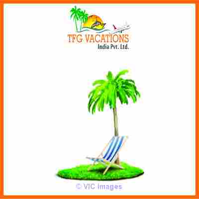 Digital Marketing Executive Jobs In TFG