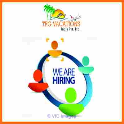 Anyone Such As Student Looking For Better Income