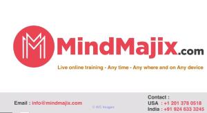 Winshuttle Online Training Course- Mindmajix