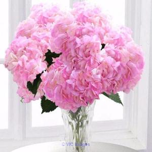 Flowers for valentines day