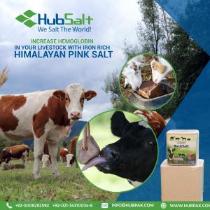 Compressed Himalayan Pink Salt Lick Block - Hub Salt