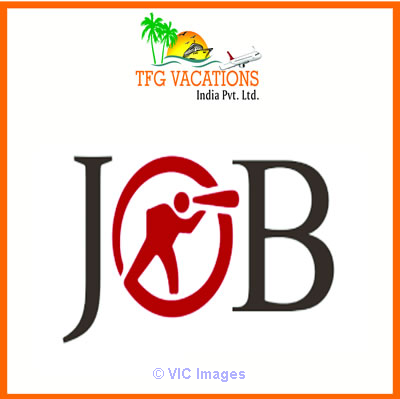 Full Time Work-from home Jobs with TFG