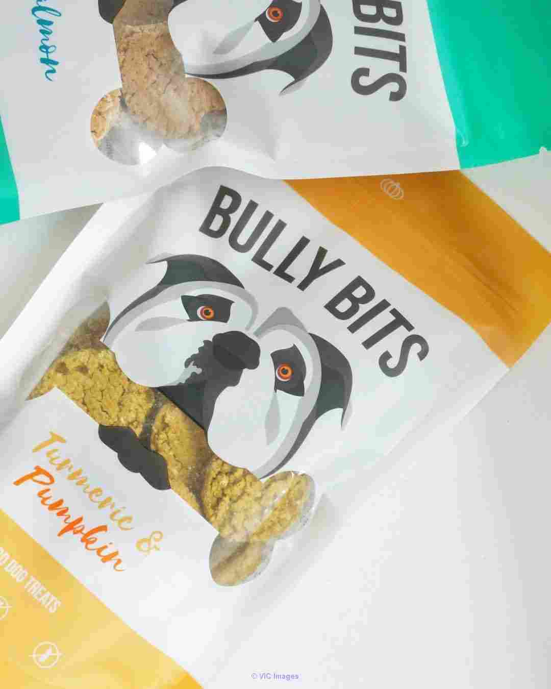 Bully Bites CBD Pet Treats  Turmeric & Pumpkin - BudExpressnow