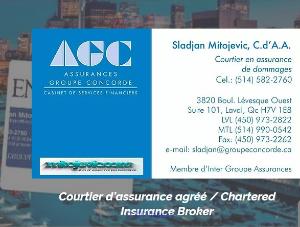 insurance criminal file