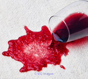 ScotchGard Carpet Protection Calgary