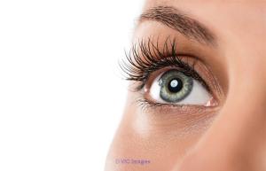 Reliable and Convenient Eye Care Services  in Brampton