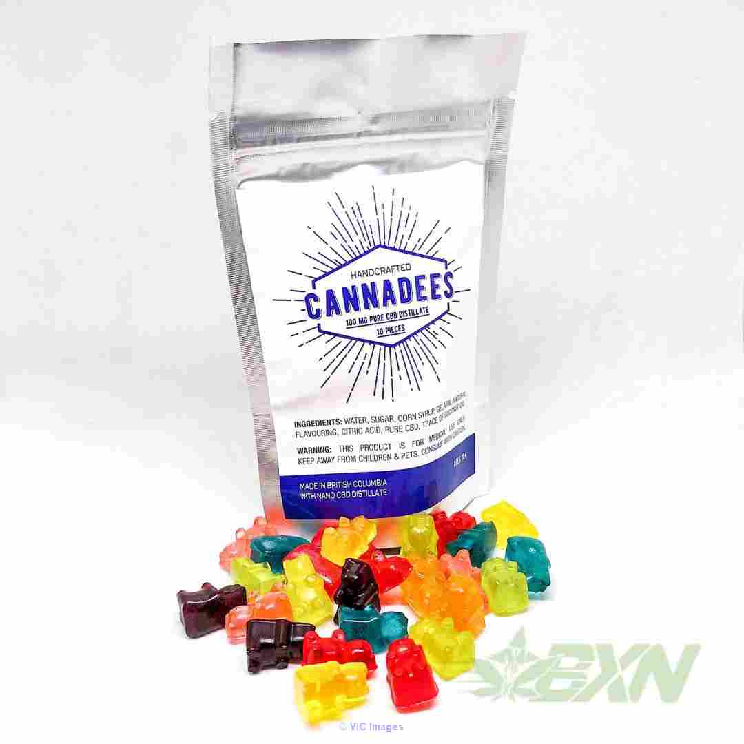 CBD Gummy Bears (100mg)