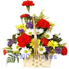 Caress your affectionate love for your dear ones by offering amazing g