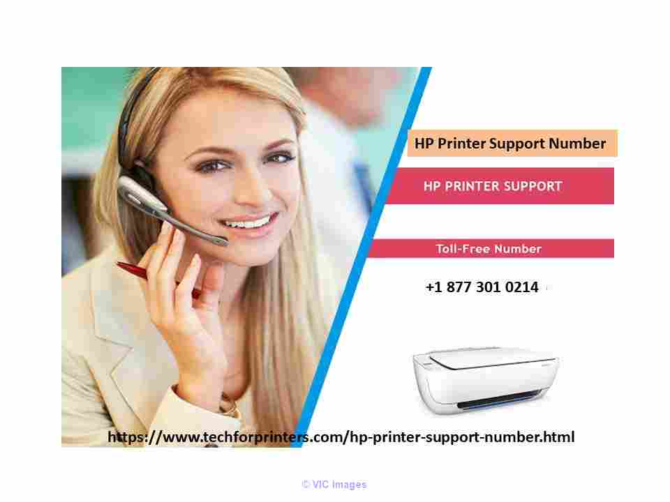 Online HP Printer Support Number