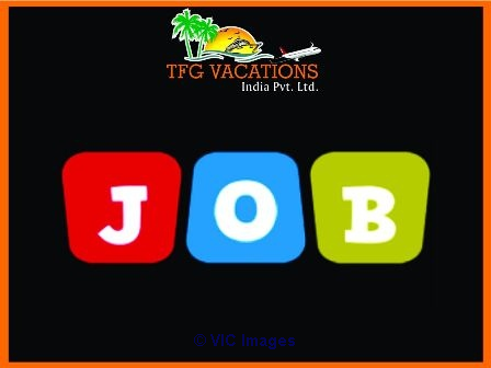 Part/Full Time/Home Based Internet Work on Tour & Travel Company