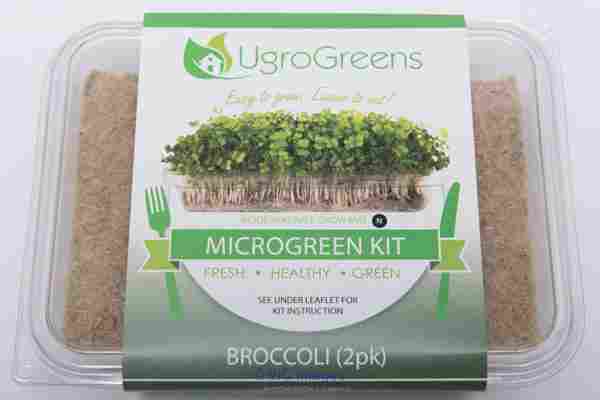 Broccoli Microgreens for Sale