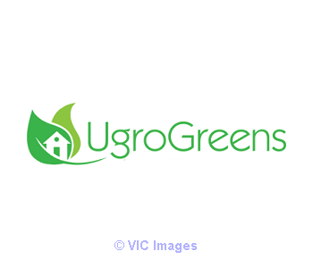 Broccoli Microgreens for Sale