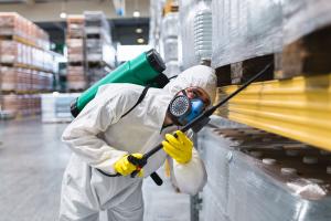Wasps nest removal services for residential in Toronto