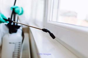 Wasps nest removal services at best price in Toronto